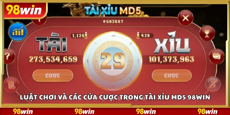 Luật chơi và các cửa cược trong Tài xỉu MD5