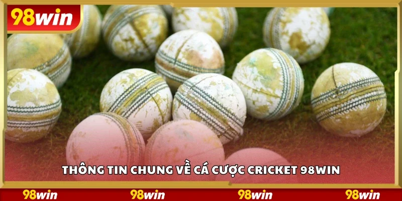 Thông tin chung về cá cược Cricket 98Win